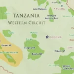 Plan Your Tanzanian Safari Well with Kanuth Adventures