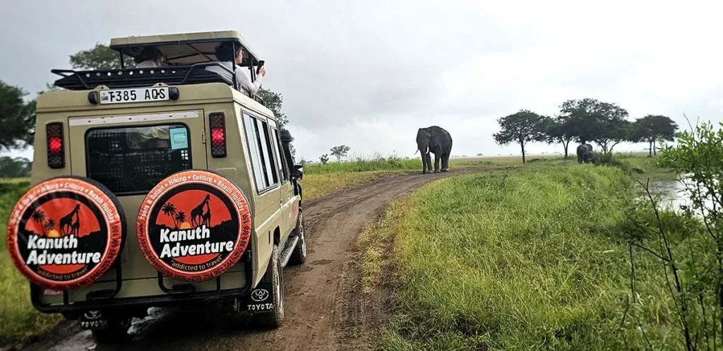 Game drive Tarangire Park
