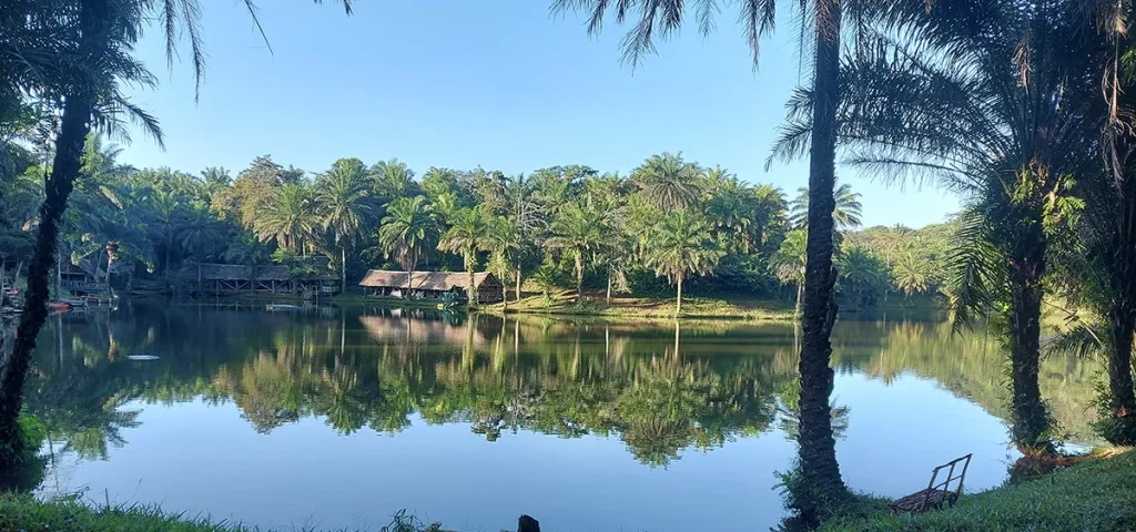 Magororo forest lake