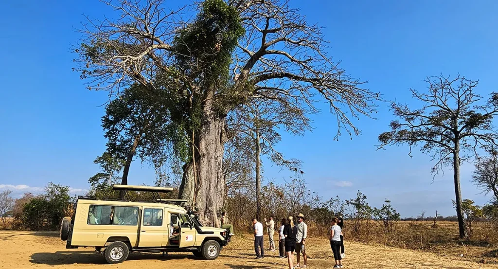 6 Days 5 Nights at Mikumi & Ruaha