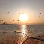 Lake Eyasi Travel Guide: Exploring the Beauty and Culture of Northern Tanzania