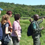 The Ultimate Travel Guide to Arusha National Park: Attractions, Activities & Tips