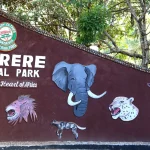 Explore Nyerere National Park Tanzania | Ultimate Safari Guide & Tips