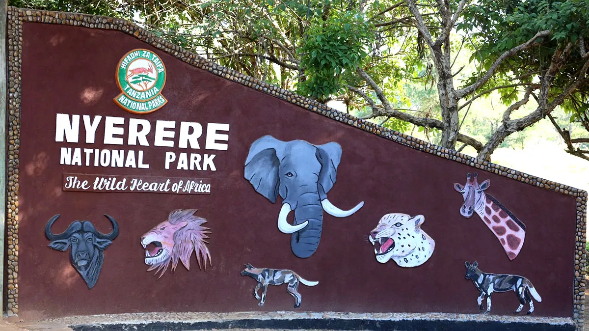 Explore Nyerere National Park Tanzania | Ultimate Safari Guide & Tips