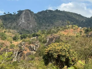 Exploring the Stunning Uluguru Mountains: Tanzania’s Hidden Gem