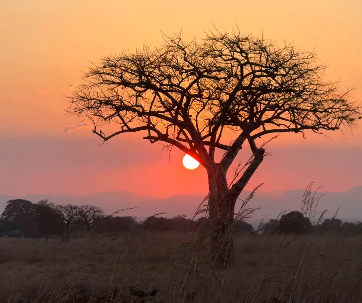 7-Day Southern Tanzania Safari