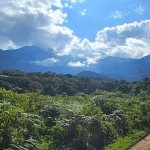 Discover Meru Forest: Arusha’s Hidden Natural Gem