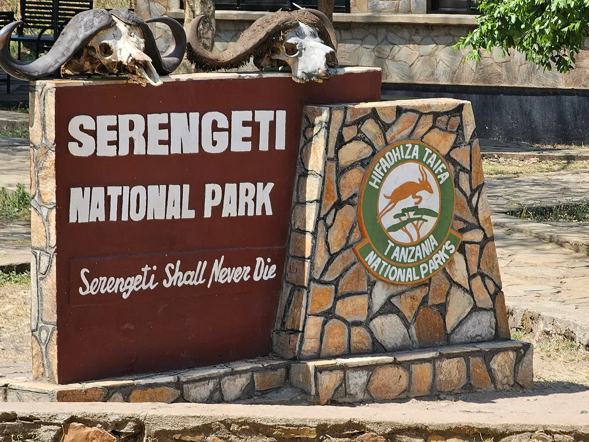 Explore the Serengeti Feathered Wonders: A Comprehensive Bird Checklist