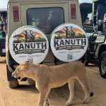 The Perfect Weekend Getaway