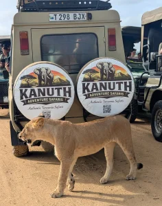 The Perfect Weekend Getaway