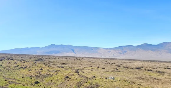 Ngorongoro Crater Highalnd