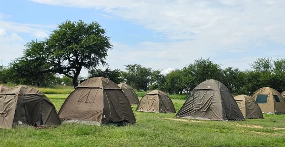 Budget  Camping Safari