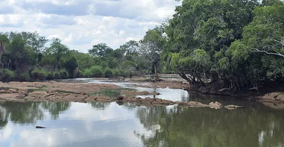 Wami Mbiki Game Reserve